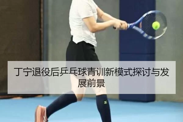 丁宁退役后乒乓球青训新模式探讨与发展前景