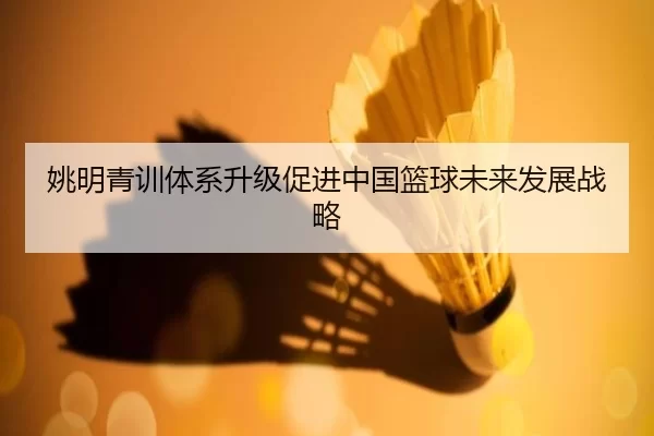 姚明青训体系升级促进中国篮球未来发展战略